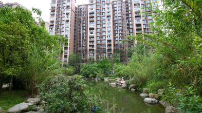 K8����(�й�)����Ӯ�ҡ�һ������